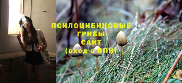 спиды Аркадак