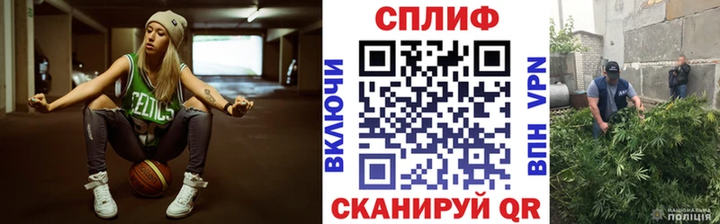 Бошки Шишки ГИДРОПОН  KRAKEN как зайти  Благодарный 